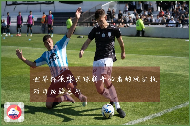 世界杯滚球买球新手必看的玩法技巧与经验总结