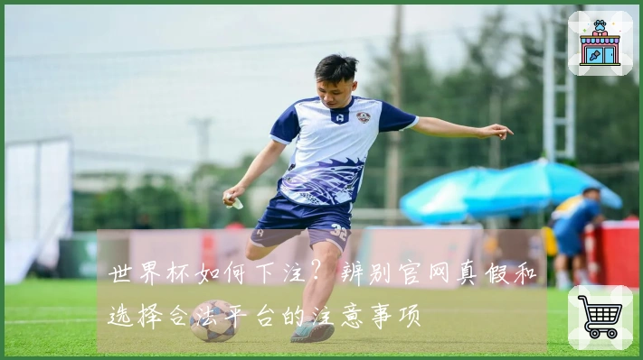 世界杯如何下注？辨别官网真假和选择合法平台的注意事项