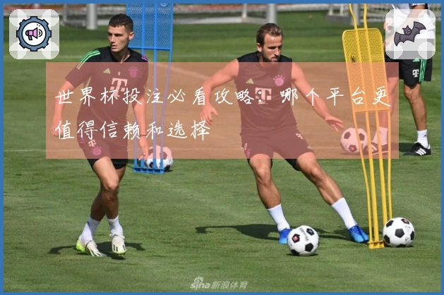 世界杯投注必看攻略：哪个平台更值得信赖和选择