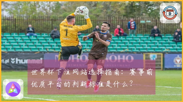 世界杯下注网站选择指南：赛事前优质平台的判断标准是什么？
