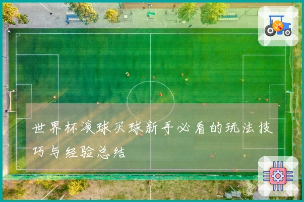 世界杯滚球买球新手必看的玩法技巧与经验总结