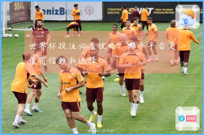 世界杯投注必看攻略：哪个平台更值得信赖和选择